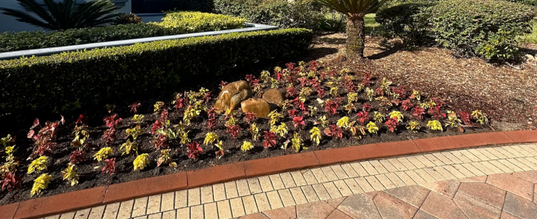 Planting and Shrubs